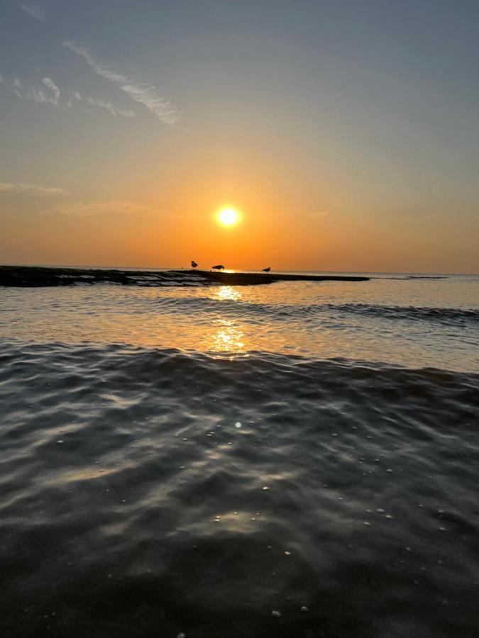 Bungalow De Strandjutter 8 Persons Middelkerke Zewnętrze zdjęcie
